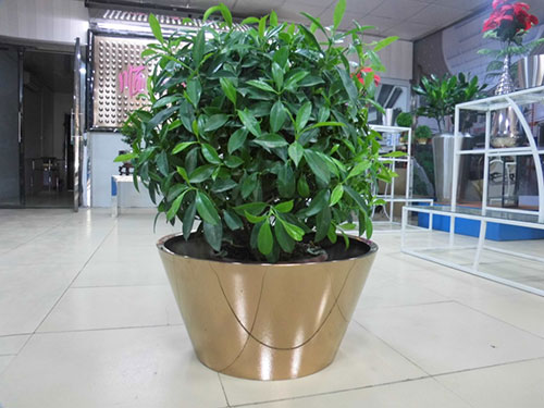 廣東汕頭不銹鋼花盆哪家做的好？